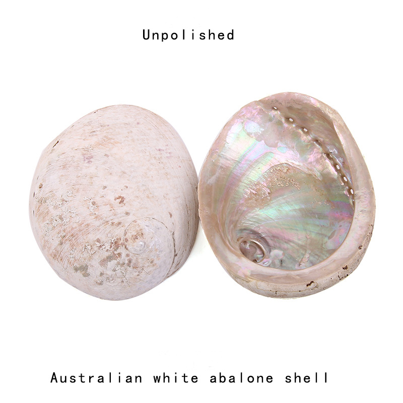 12-16CM Natürliche Neuseeland  – Jewelry Making New Zealand Bewertung und Preis