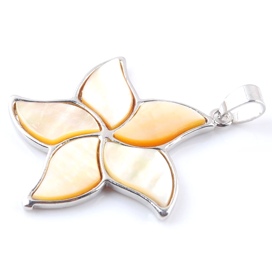 5 Stück natürliche Neuseeland  – Jewelry Making New Zealand Bewertung und Preis